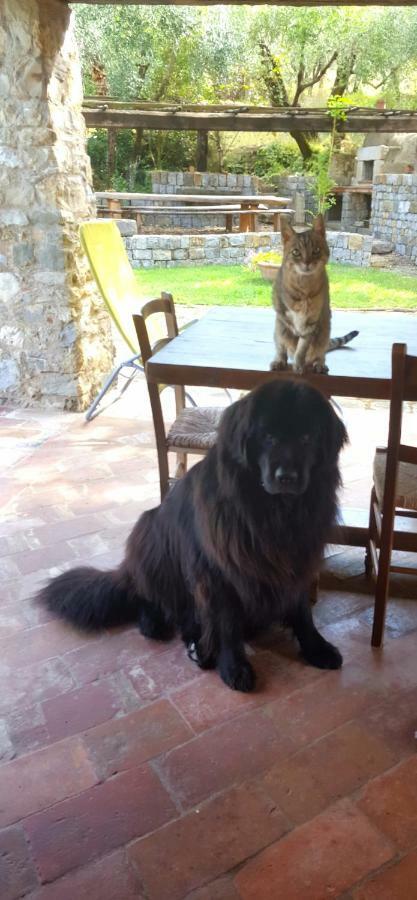 La Corte Del Falco Holiday home